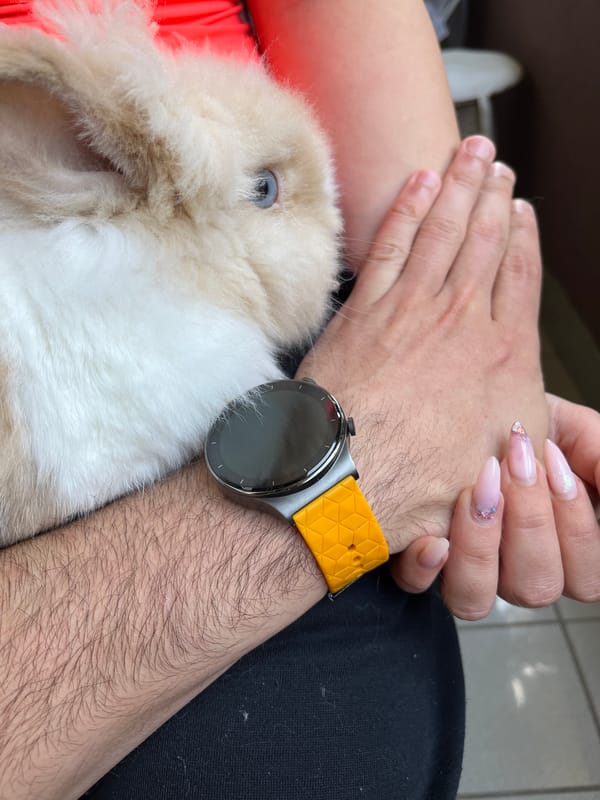 Sofia balcony morning with a pet rabbit and wrist jewelry