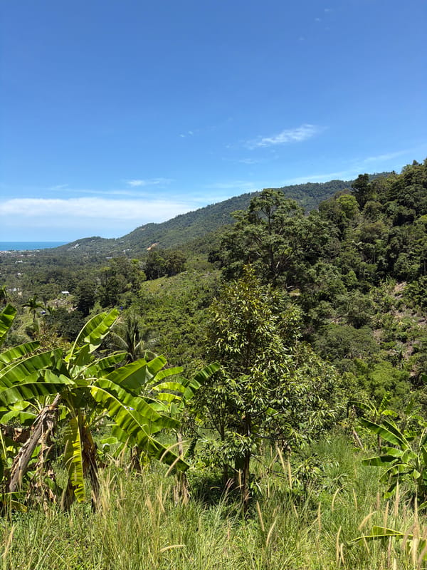 Morning hillside views captured in Ko Samui, Thailand