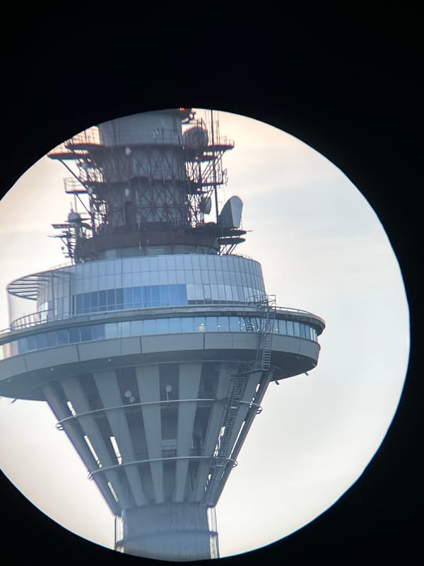 Evening documentation of Tallinn TV Tower and surrounding nature