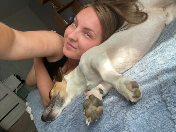 Lazy morning on the couch with a dog in Noviy