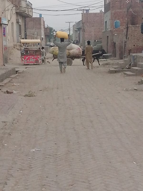 Rural travelers use cow-pulled cart on dirt road