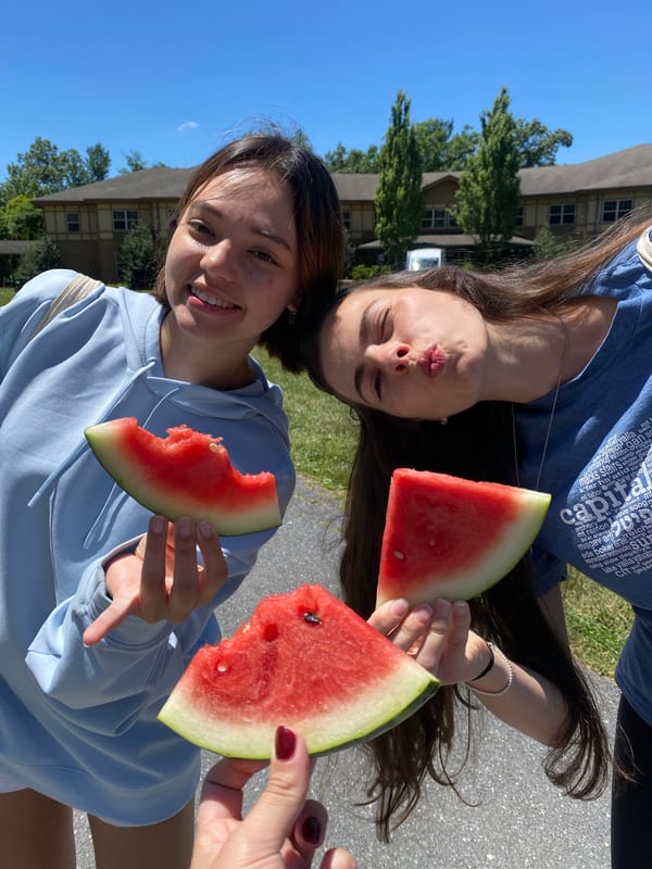 Watermelon slices on a sunny afternoon in Washington Township