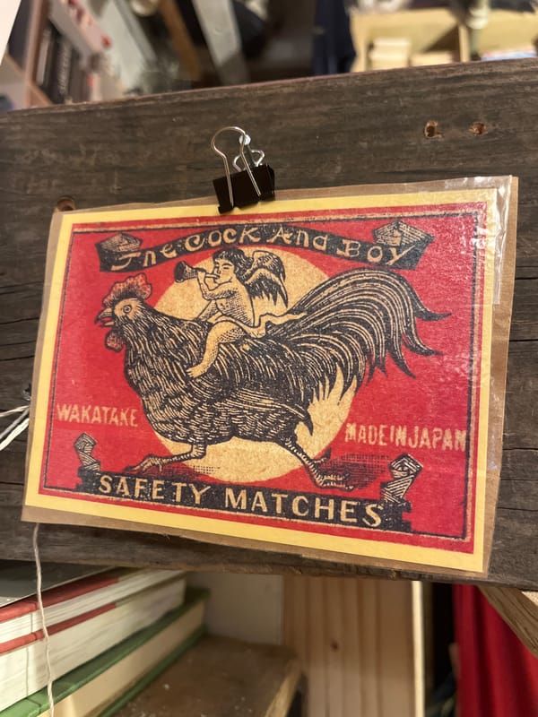 Browsing a cluttered New York vintage bookstore full of oddities