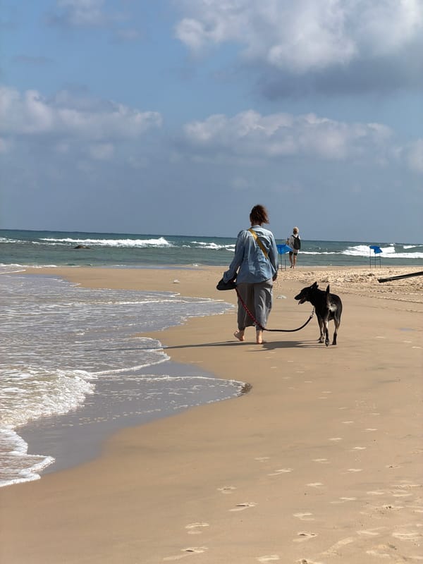 Busy morning at Bat Yam beach: surfing, fishing, and shoreline life