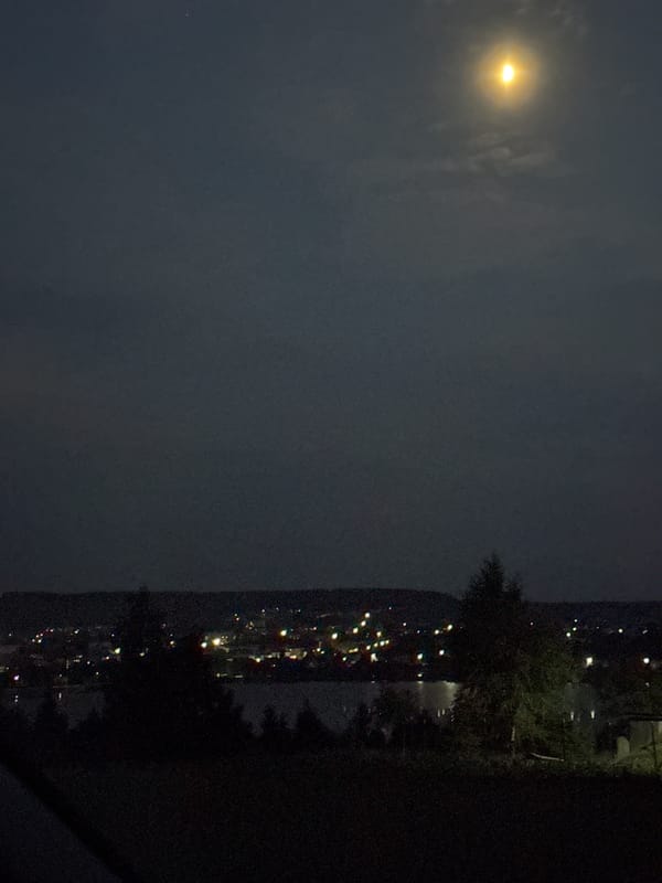 Moonlit night over Berezhany, Ukraine