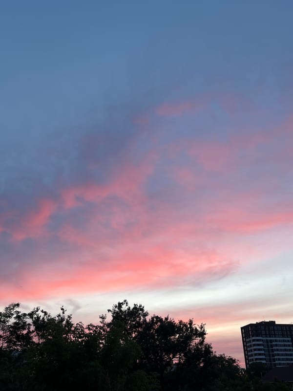 Dnipro sunset with dogs in the grass