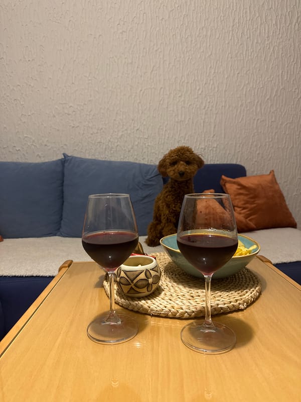 Red wine shared in Miljevci home evening scene