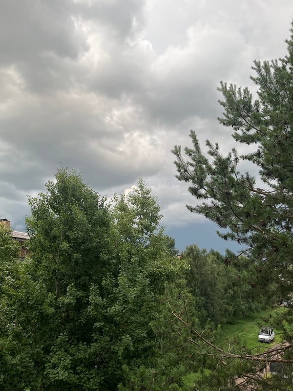 Pine trees, stormy skies, and quirky windowsill figurines