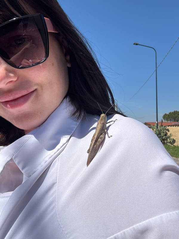 Travel blogger encounters grasshopper during dog walk in Aprilia