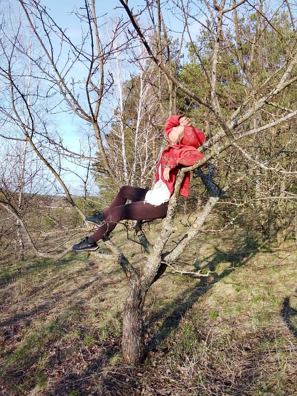 Person in red jacket relaxes in tree branches during woodland visit