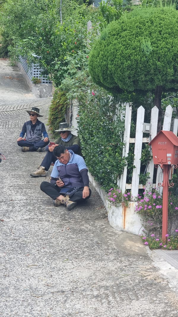 Quiet morning moments around Miryang-si's rural outskirts