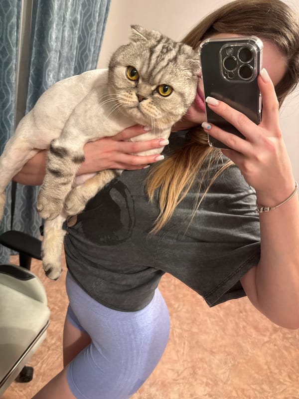 Cat owners photograph pets in afternoon photo session
