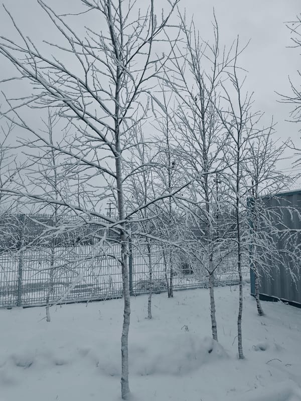 Gazprom worker spotted amid fresh snowfall in Russian city