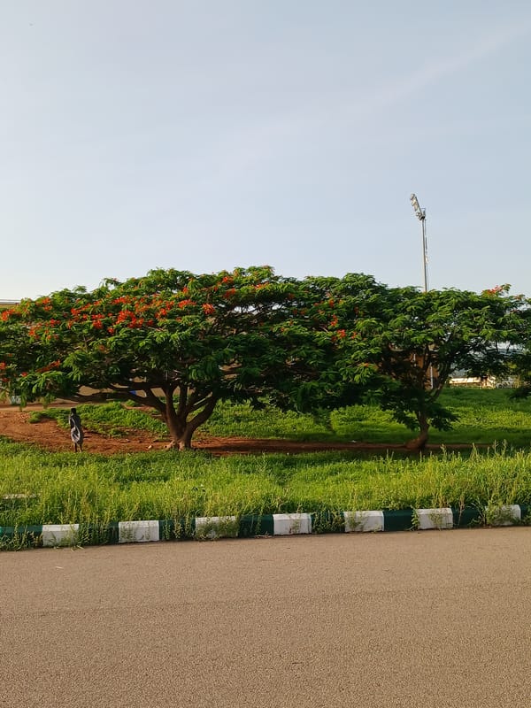 Ordinary afternoon moments documented across Jalingo, Nigeria