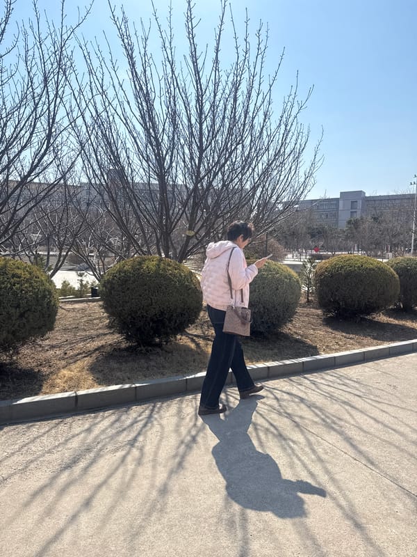 Routine pedestrian and maintenance activity observed in Zhongtun