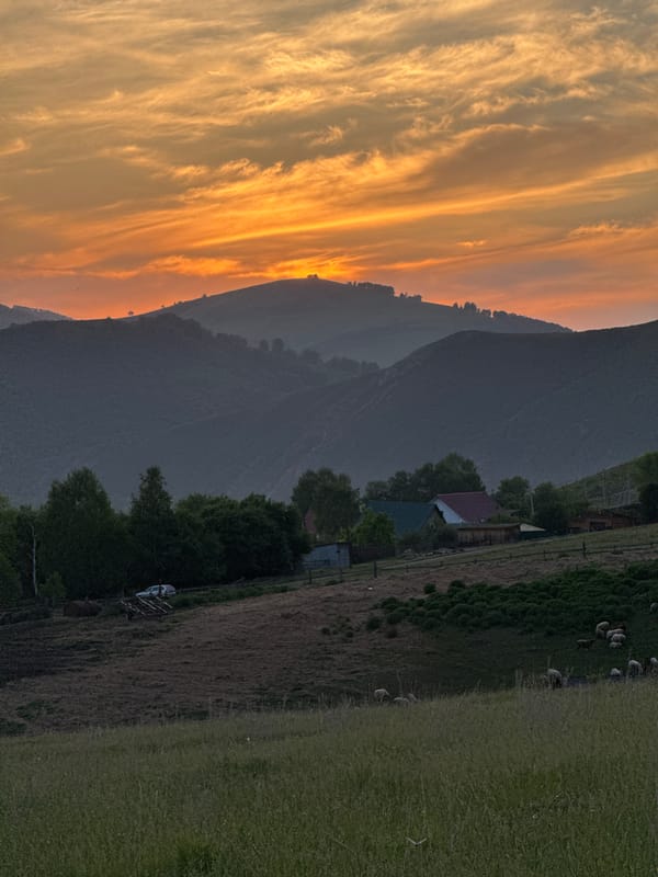 Rural sunset life documented in Siberian village Soloneshnoye