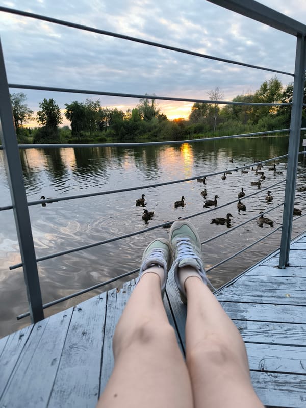Ducks on calm water at a sunset pier in Отрадное