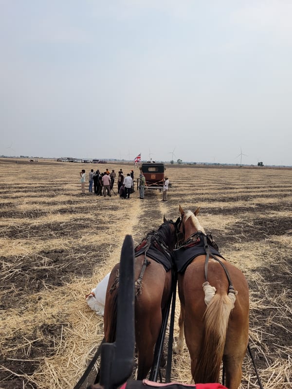 Horse-drawn carriage ride captured from passenger perspective