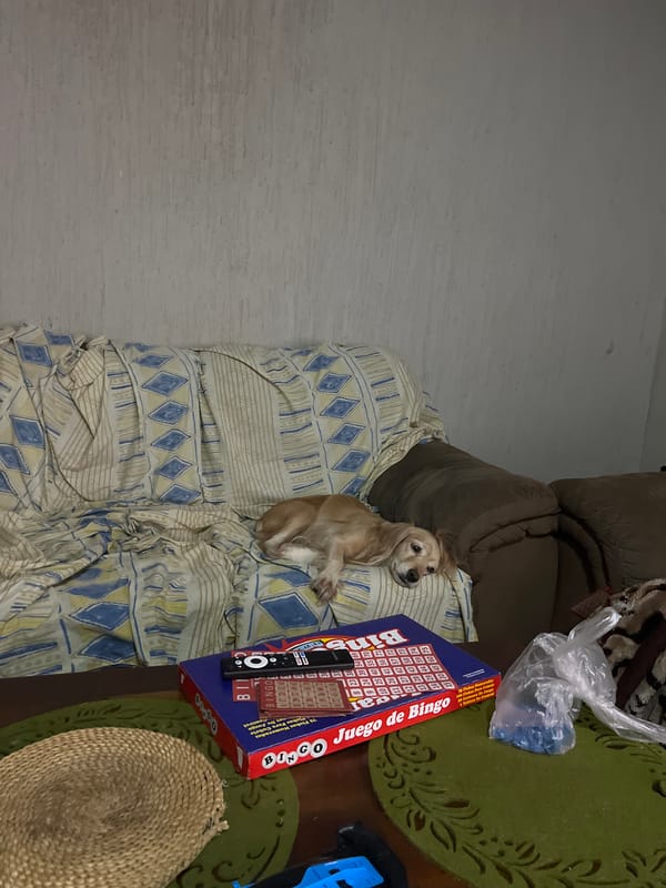 Quiet domestic moments captured in Venezuelan home early morning