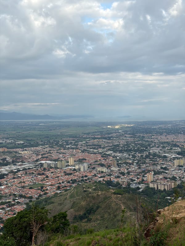 Butterfly and city views documented from Venezuela hillside