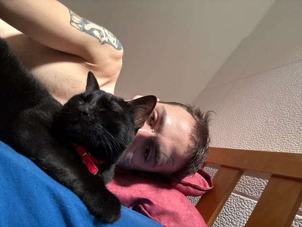 Man rests in bed with black cat in Cordoba