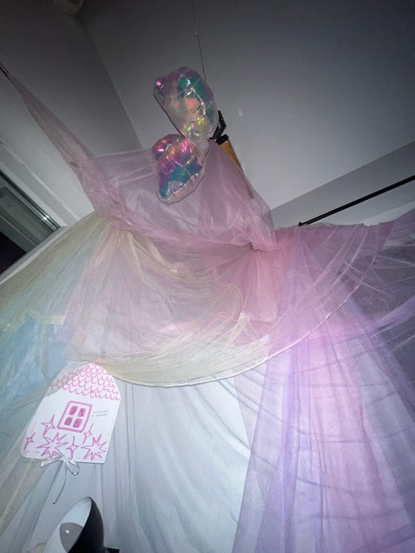 Evening documentation of domestic life and streets in Belgrade