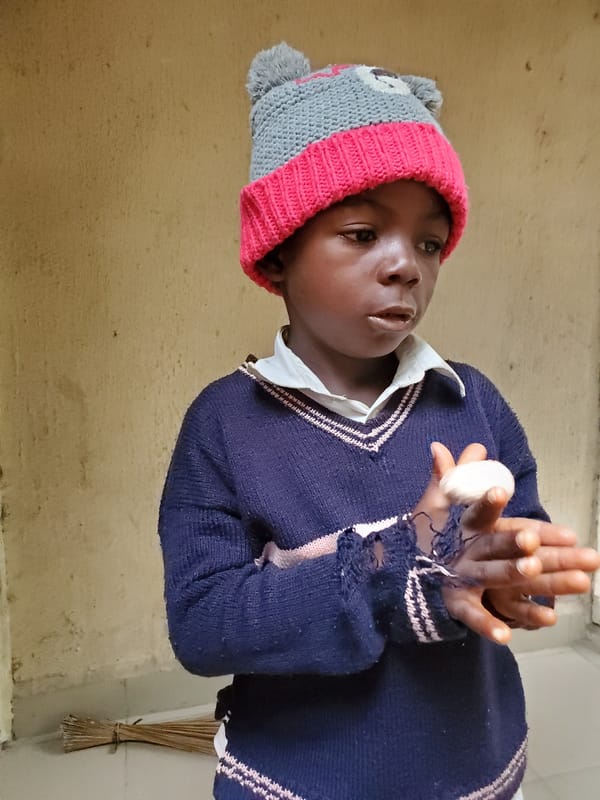 Child examines object indoors while ducks gather outside Mararaba building