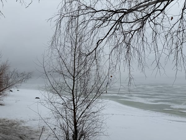 Winter scenes documented around Votkinsk Reservoir in Chaikovsky, Russia