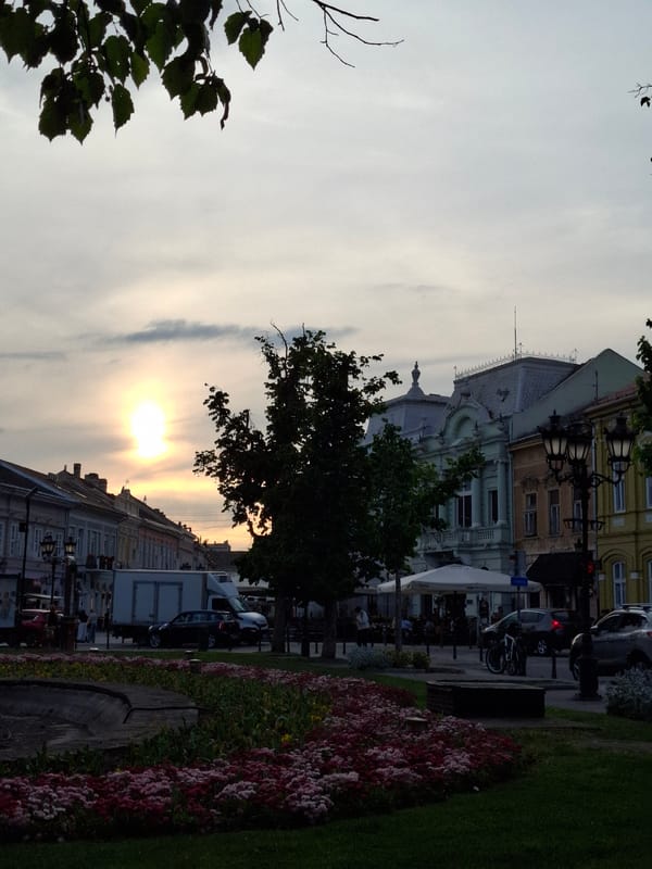 Sunset captured along flower-lined street in Novi Sad, Serbia