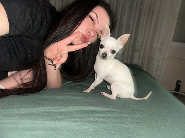 Woman and white Chihuahua share affectionate moments in Bulgaria