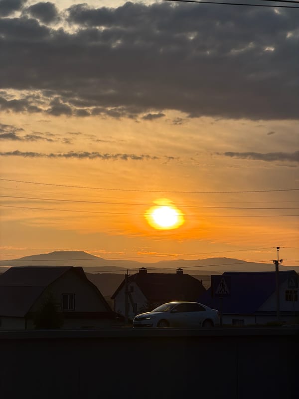Sunsets, a sprouting plant, and a bubble gum moment