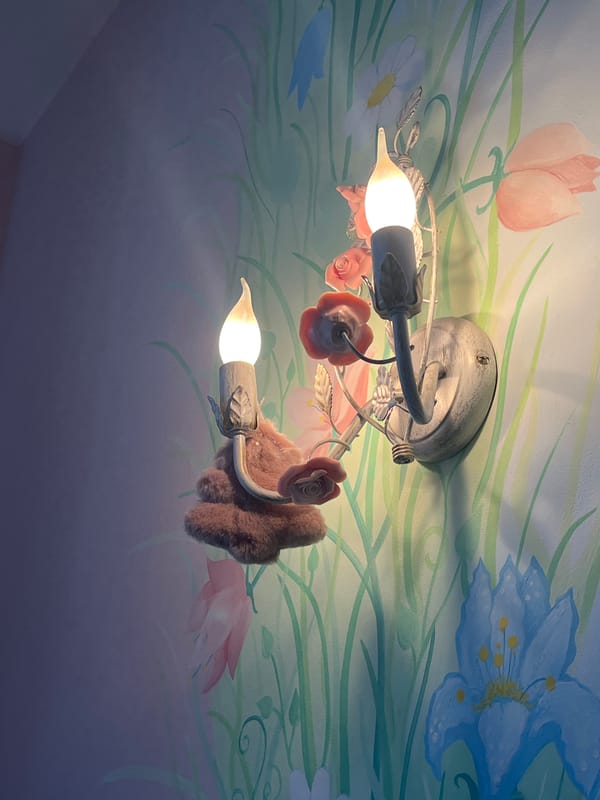 Indoor scenes captured: decorative lighting, perfume bottle, window view