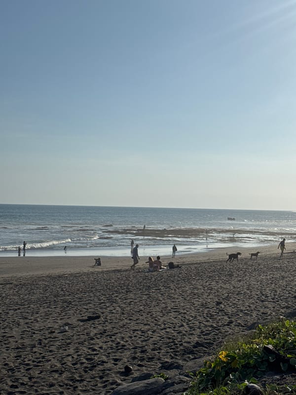 Bali's Kuta-Tanah Lot coastline fills up for sunset