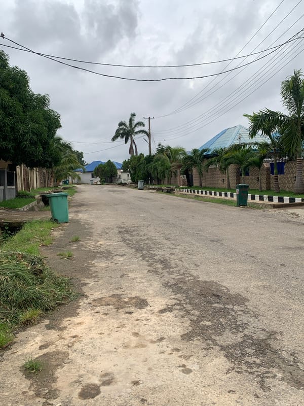 Midday street life in Abuja: vendors, pedestrians, and neighborhood roads