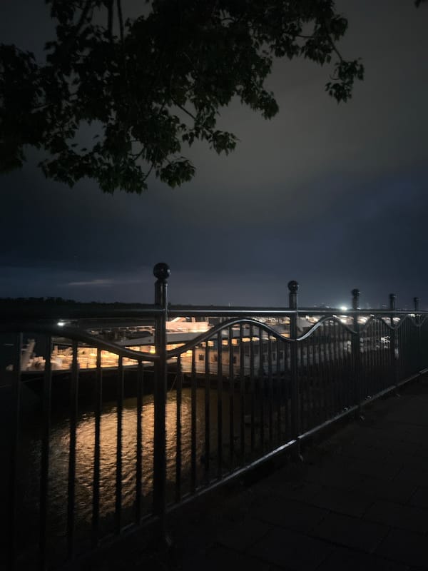 Evening waterfront scenes documented along Danube River in Ruse