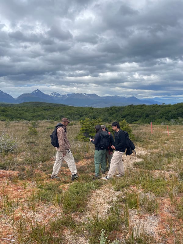 Four people stand facing mountains near Ushuaia under dark skies