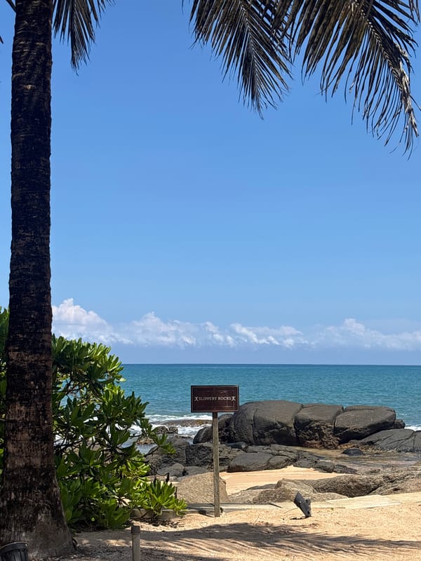 Morning tropical views captured in Ahungalla, Sri Lanka