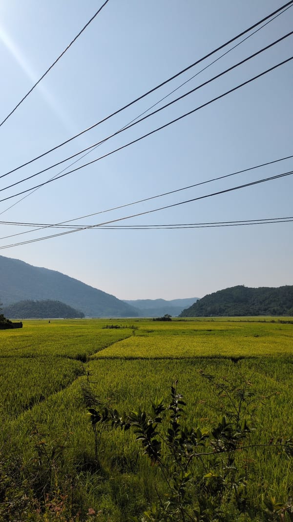 Rural landscape with power lines observed in Vietnam