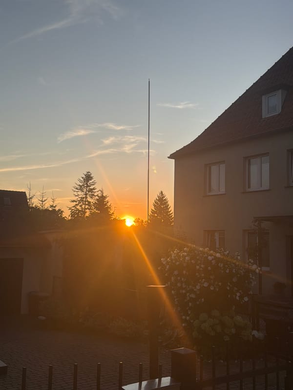 Crow on a garage roof at sunset in Szczecin