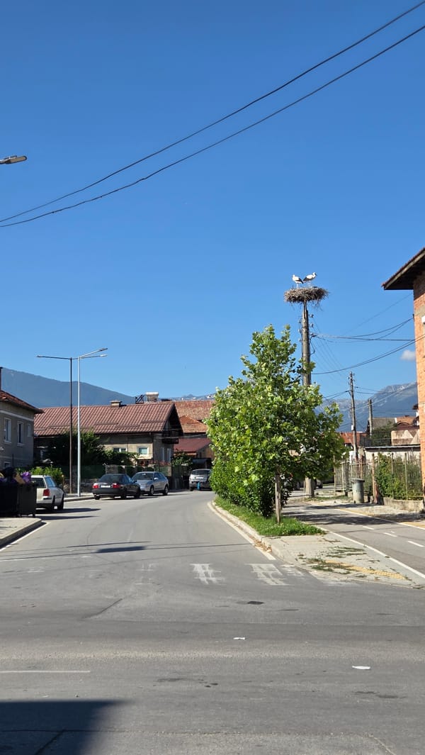 Street scene and record shelf in a small Bulgarian town