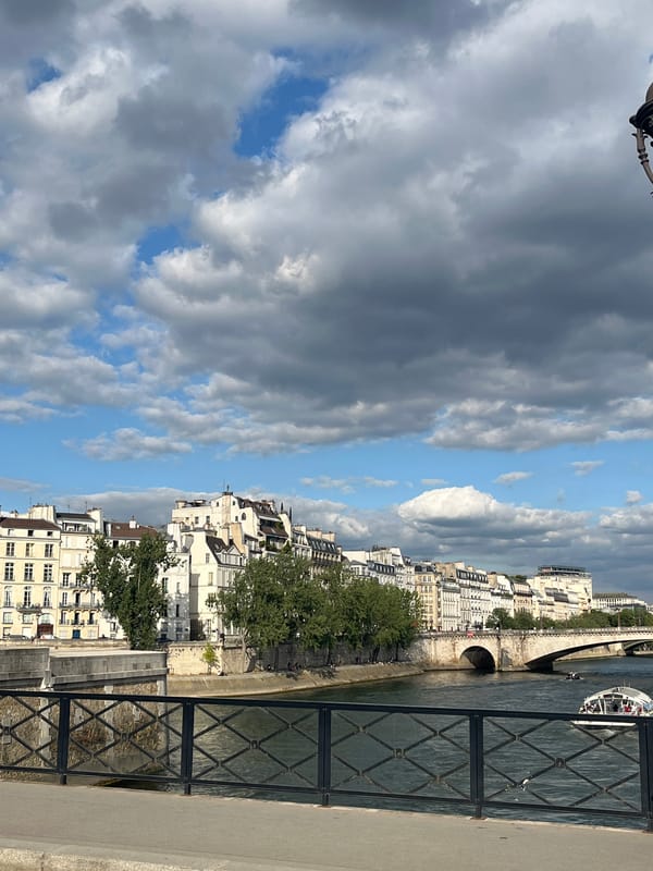 Seine riverbank buzzing as Notre-Dame restoration continues nearby