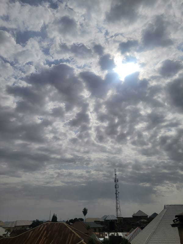 Cat spotted on concrete surface in Jos under cloudy skies