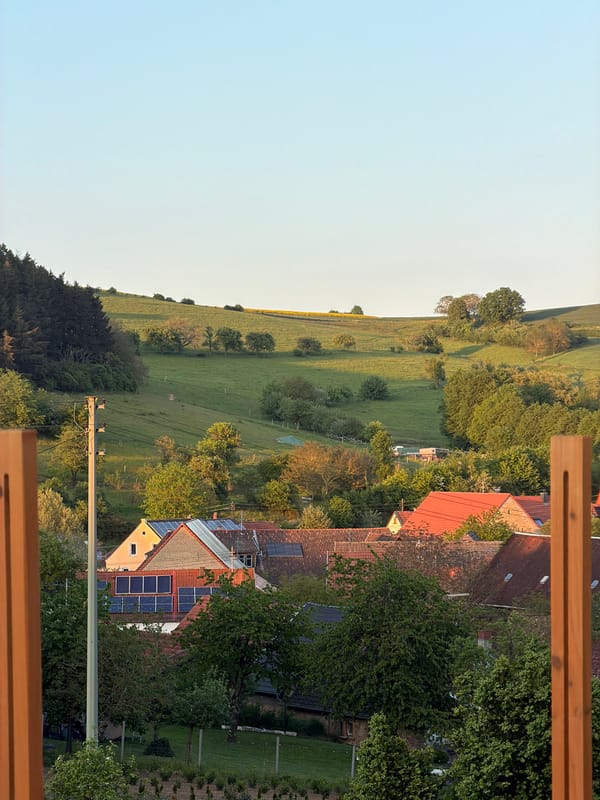 Corgi spotted playing in grassy area in Gangloff, Germany