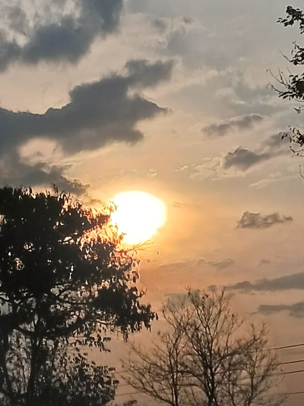 Dusk landscape captured in Orupe, Venezuela shows sun behind clouds