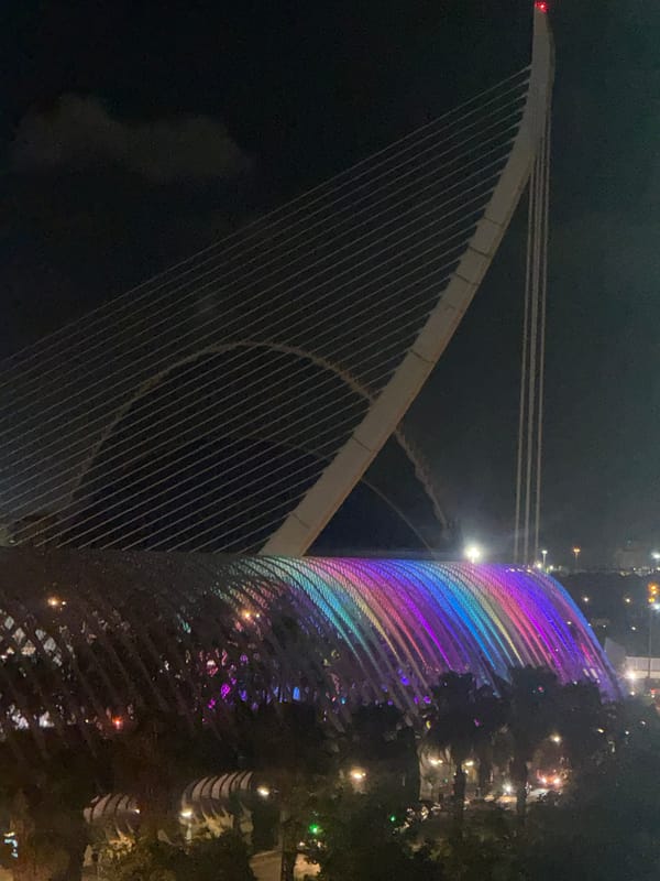 Nighttime gathering documented at Valencia's City of Arts and Sciences