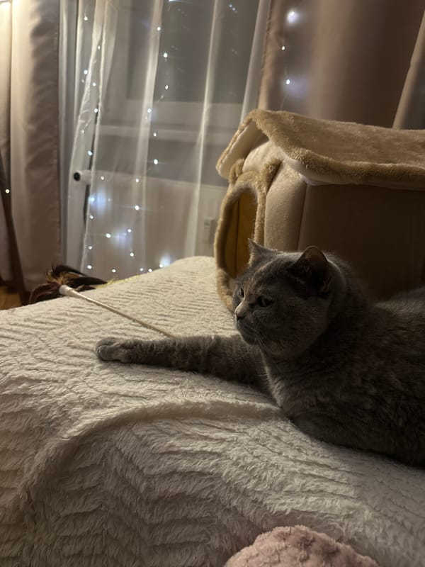 Quiet domestic moments captured in Liepaja homes