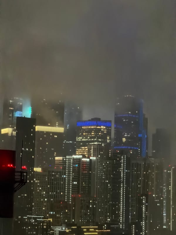 Pets and foggy city nights in a Khimki apartment