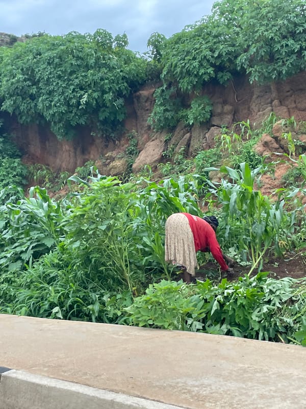 Everyday street life in Gura Top, Nigeria