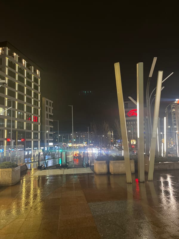 Evening scenes from Sofia: wet streets, dining, and shopping