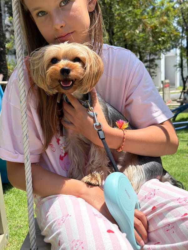 Swinging with a Yorkshire Terrier on a backyard swing in Thailand